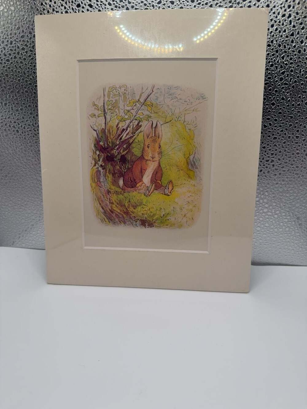 Beatrix Potter Peter Rabbit Matted Art Print